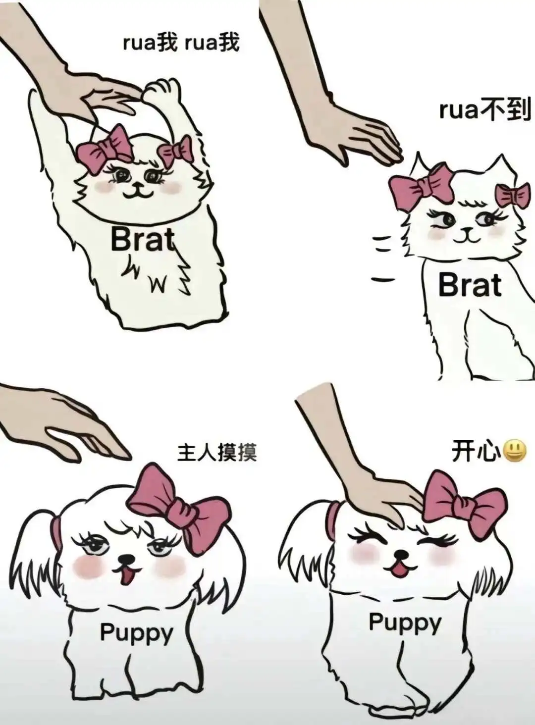 西檬之家-字母圈新手入门指南