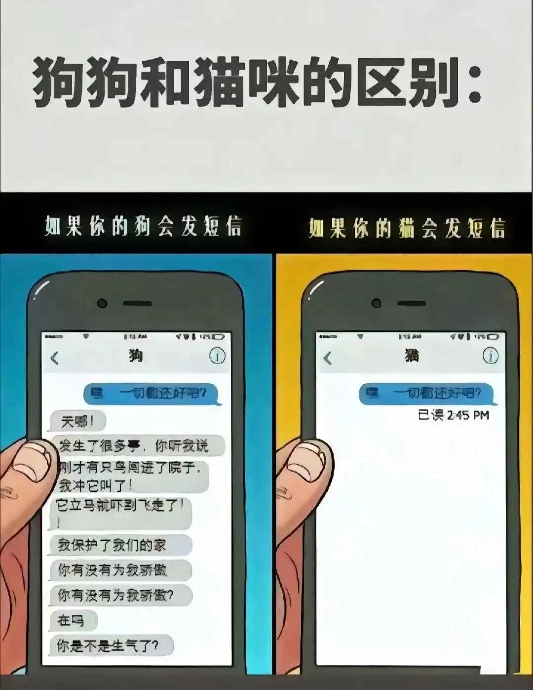 西檬之家-透过小圈看BDSM，揭开神秘面纱