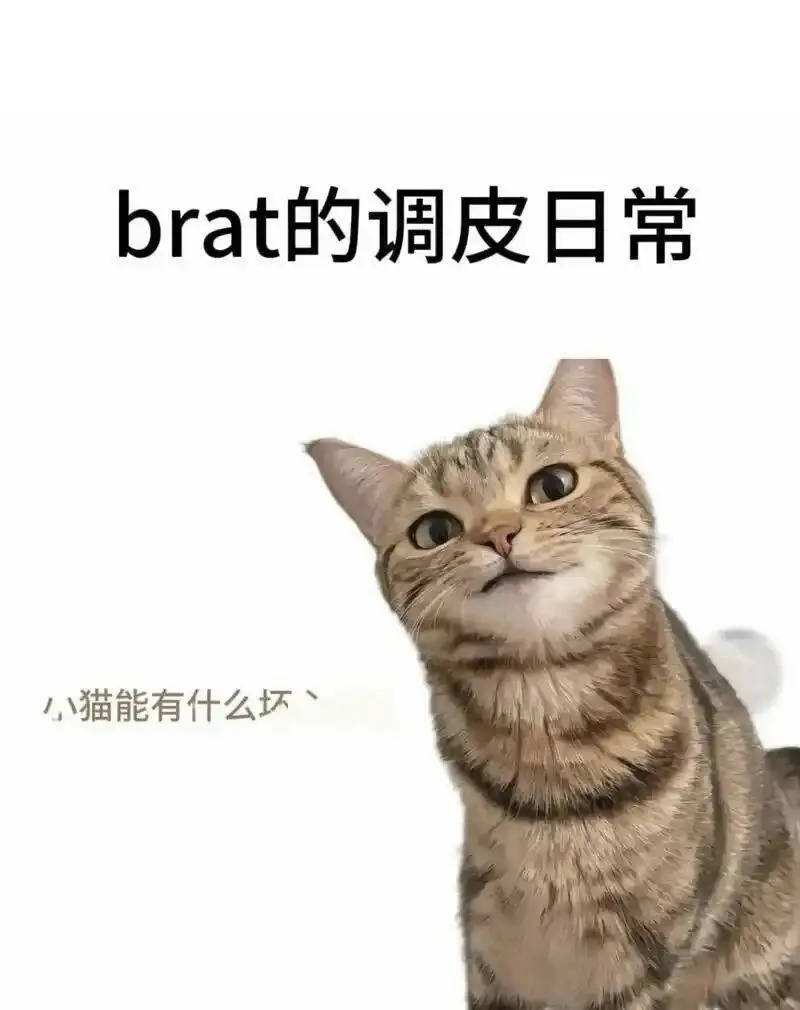 西檬之家-DT是什么意思？BDSM新人如何掌握Dirty Talk艺术