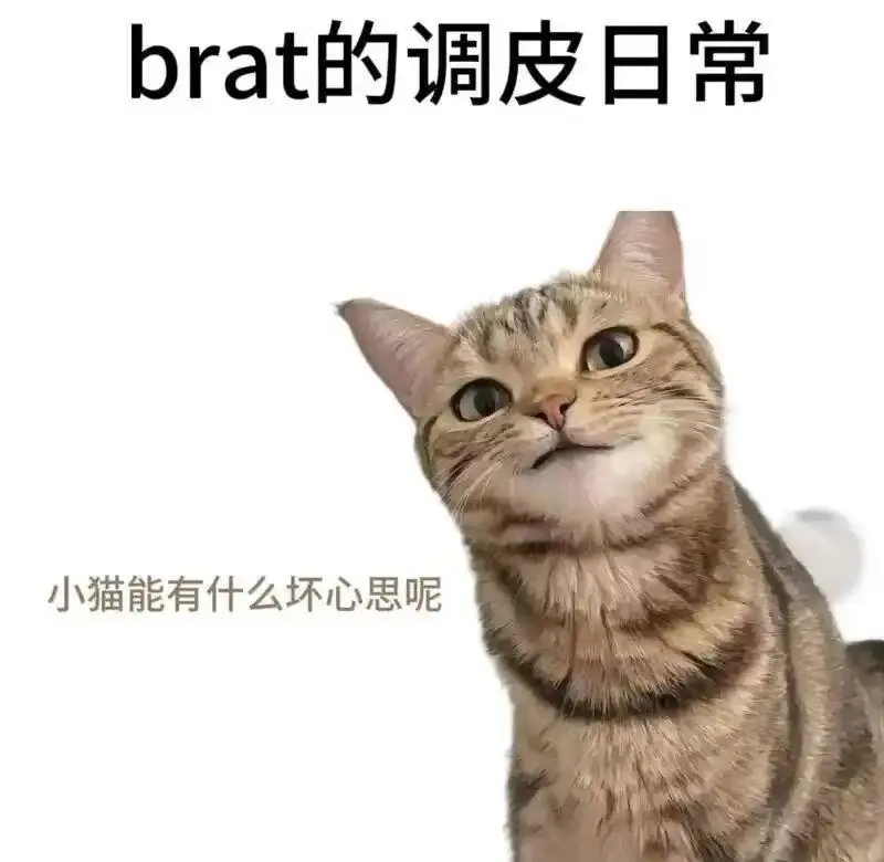 西檬之家-如何成为合格的字母圈新人？基础术语解读