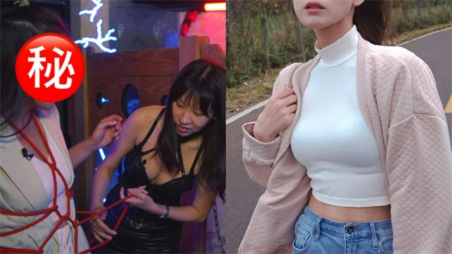 字母圈入圈：实用指南