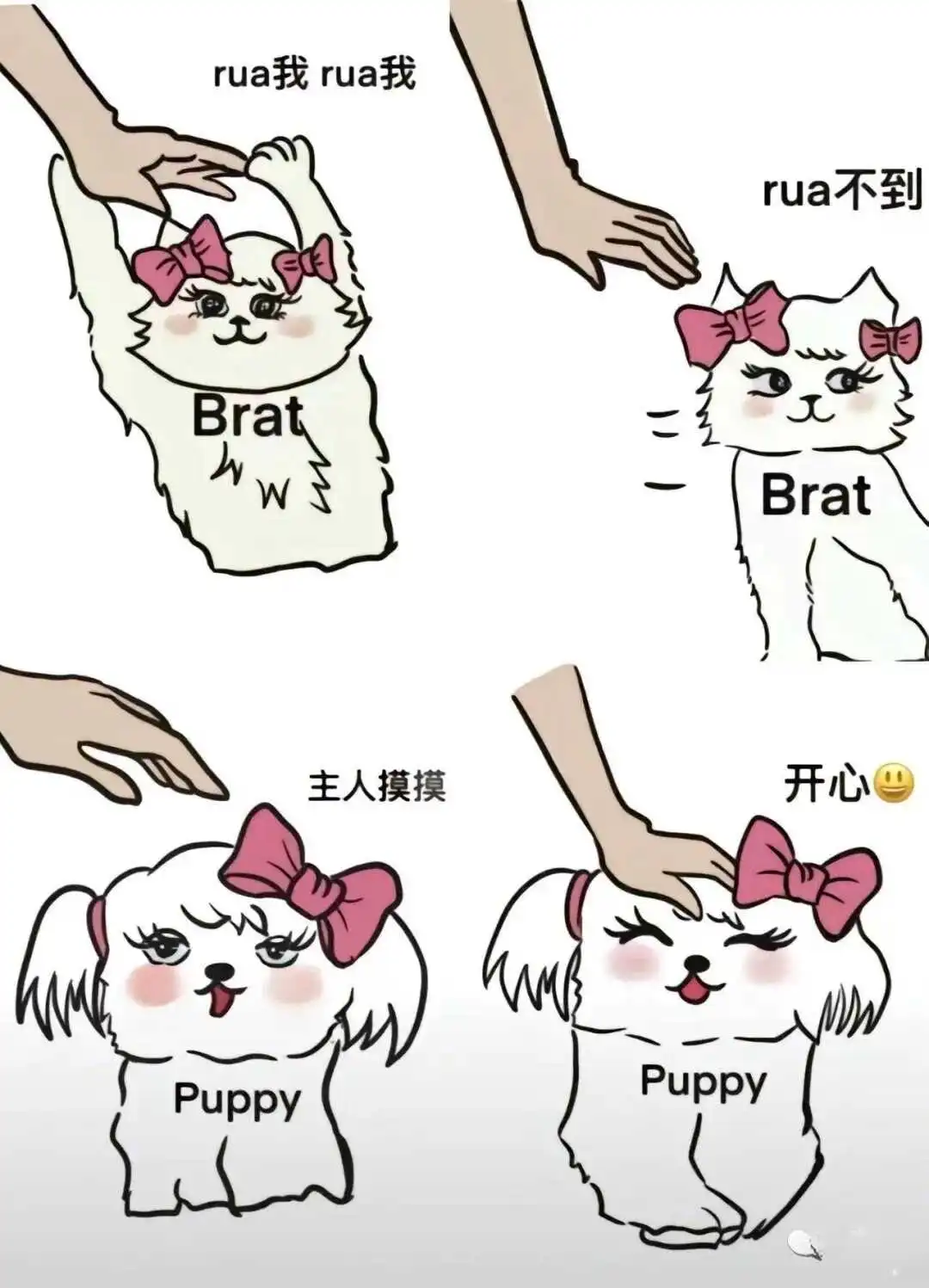 【西檬之家】新晋字母圈成员看这里！必备术语解析与安全实践指南