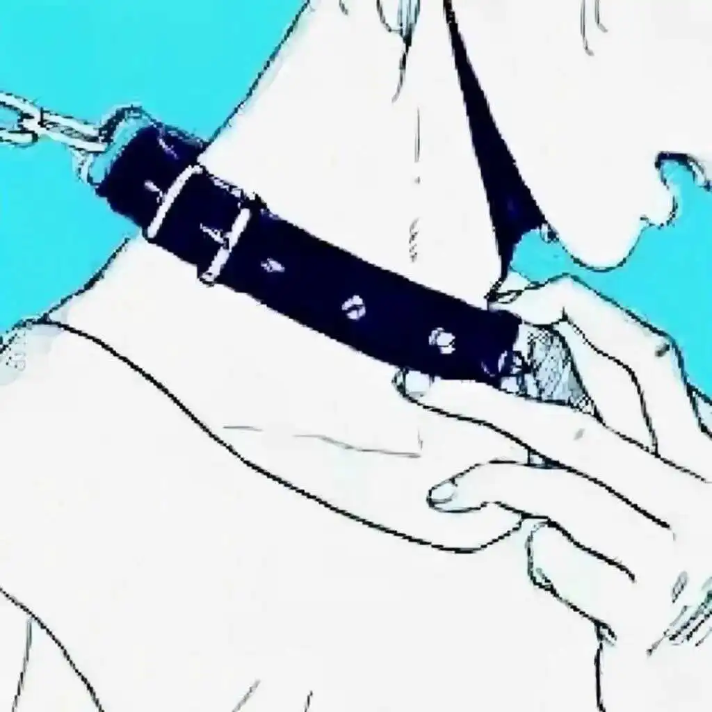 Sp：实用指南