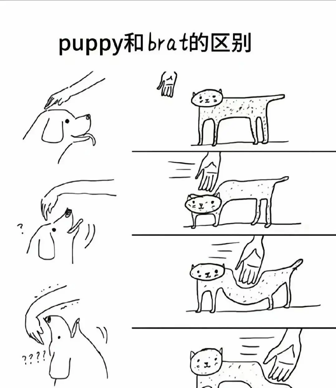 S倾向：实用指南